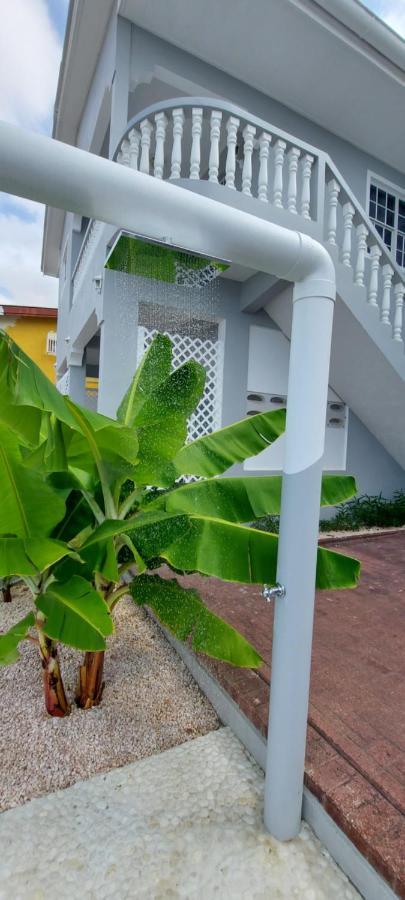Villa Ravens'S Paradise Azul Willemstad Bagian luar foto